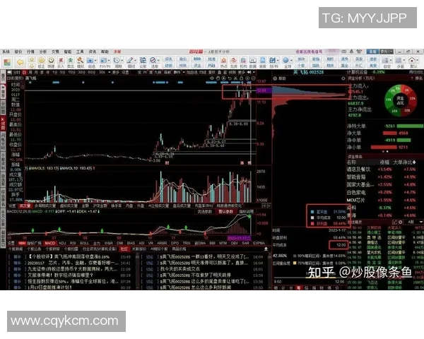 同花顺平台助力投资者决策优化，全面解析股市动态与财务数据